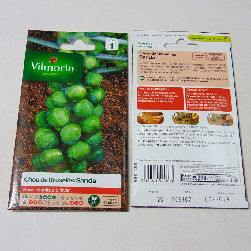 Exemple de spécimen de Chou de Bruxelles Sanda - Vilmorin le sachet de 800 graines (2g) tel que livré