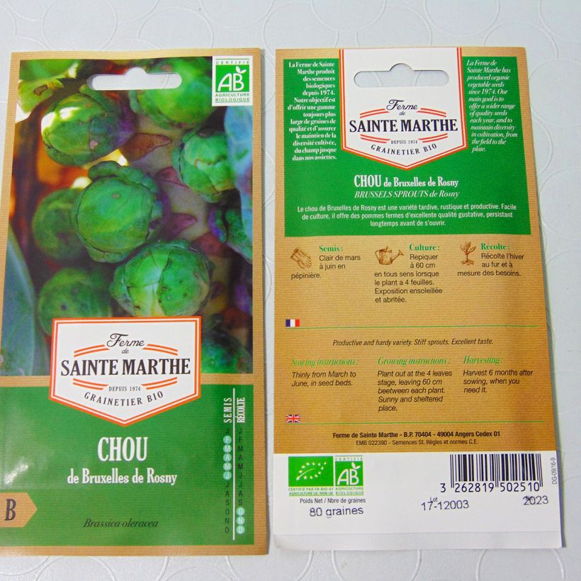 Exemple de spécimen de Chou de Bruxelles de Rosny Bio - La Ferme de Sainte Marthe le sachet de 80 graines tel que livré