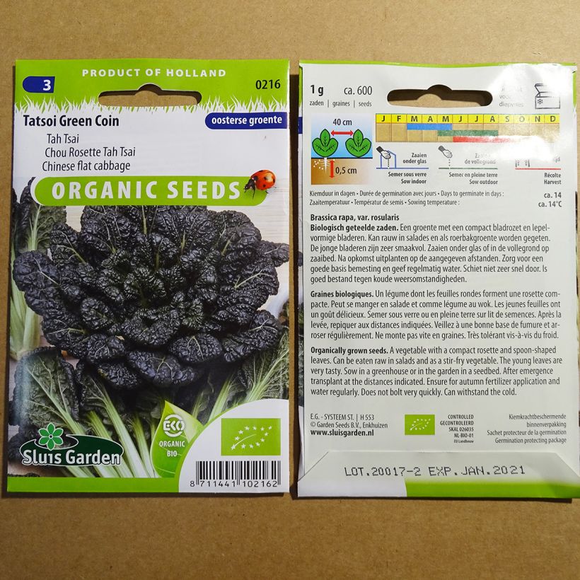 Exemple de spécimen de Chou de Chine Tah Tsai - Chou Rosette  le sachet de 400 graines (1g) tel que livré