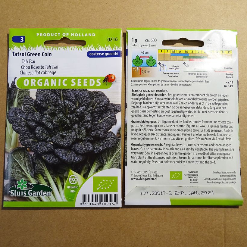 Exemple de spécimen de Chou de Chine Tatsoi Green Coin Bio le sachet de 600 graines (1g) tel que livré