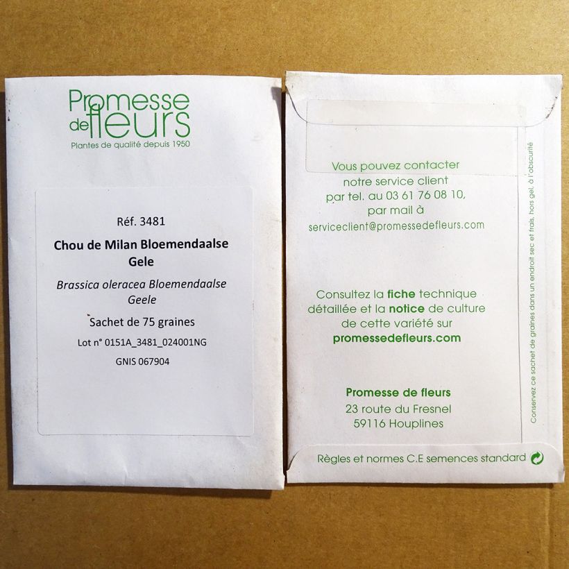 Exemple de spécimen de Chou de Milan Bloemendaalse Gele  le sachet de 75 graines tel que livré