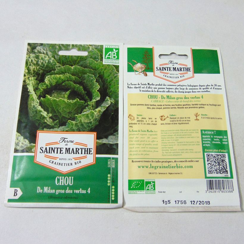 Exemple de spécimen de Chou de Milan Gros des Vertus 4  Bio - Ferme de Sainte Marthe le sachet de +/- 500 graines (minimum 2g) tel que livré