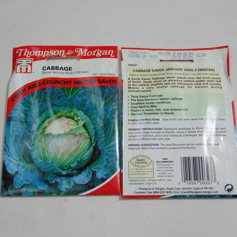 Exemple de spécimen de Chou de Milan January King 3 le sachet de 500 graines tel que livré