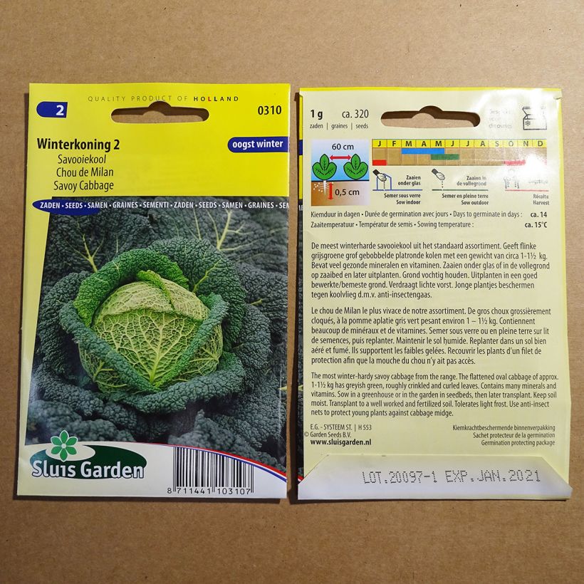 Exemple de spécimen de Chou de Milan Winterkoning 2 le sachet de 320 graines (1g) tel que livré