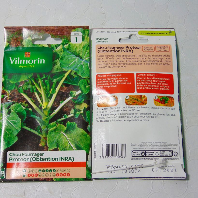 Exemple de spécimen de Chou fourrager Protéor (Obtention INRA) - Vilmorin le sachet de 4000 graines (10g) tel que livré
