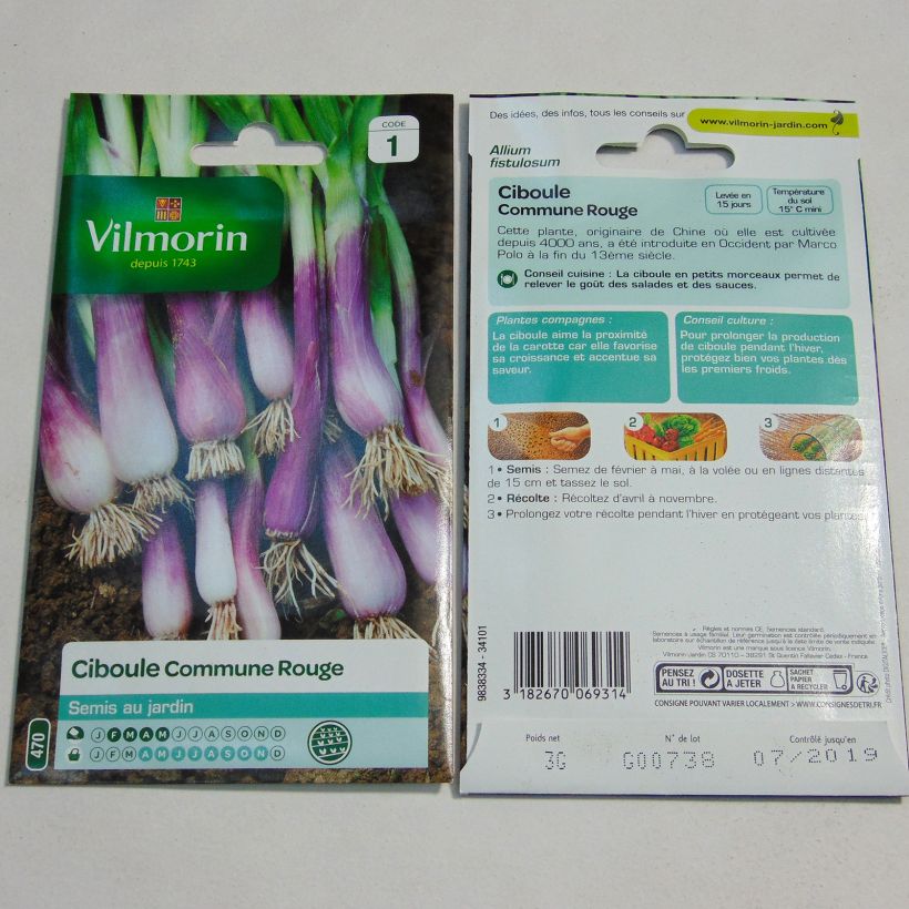 Exemple de spécimen de Ciboule commune rouge - Vilmorin le sachet de 1400 graines (3g) tel que livré