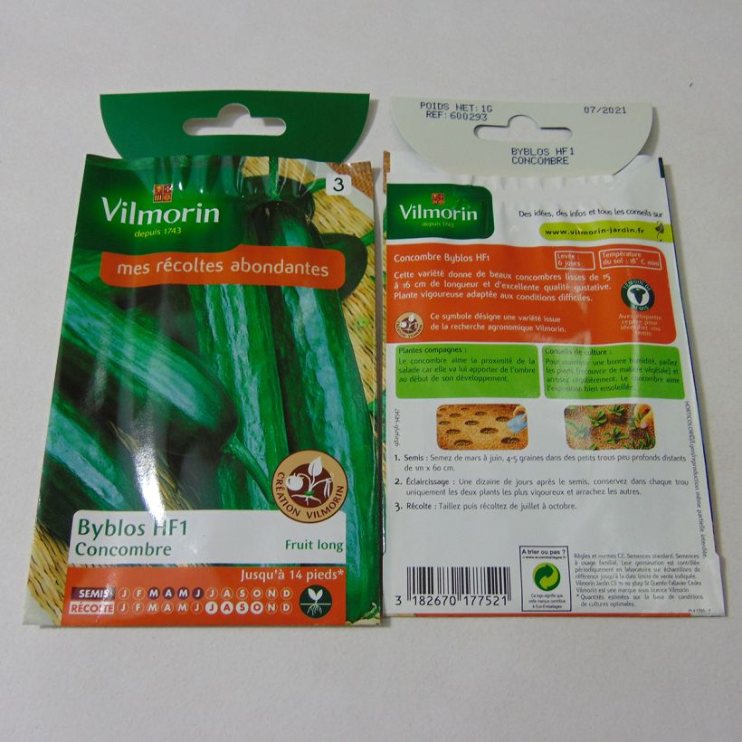 Exemple de spécimen de Concombre Byblos (Création Vilmorin) - Vilmorin le sachet de 35 graines (1g) tel que livré