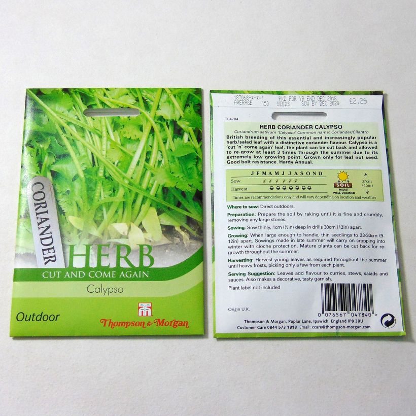 Exemple de spécimen de Coriandre Calypso le sachet de 150 graines tel que livré
