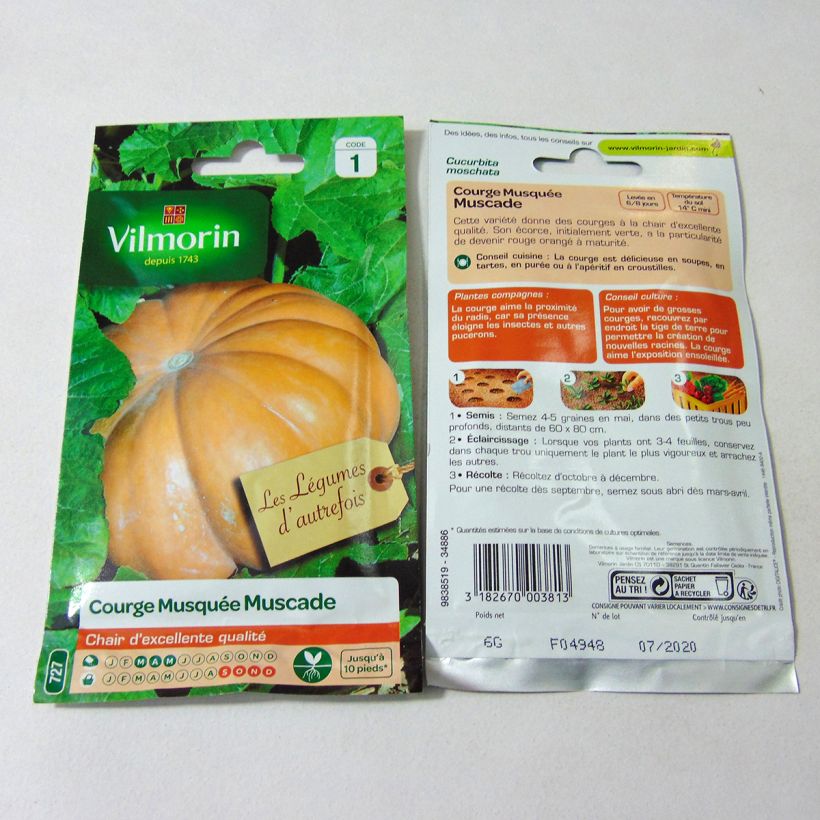 Exemple de spécimen de Courge Musquée Muscade de Provence - Vilmorin le sachet de 35 graines (6g) tel que livré
