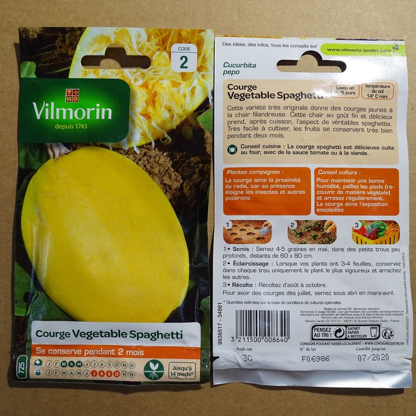 Exemple de spécimen de Courge Spaghetti végétal - Vilmorin le sachet de 15 graines (3g) tel que livré