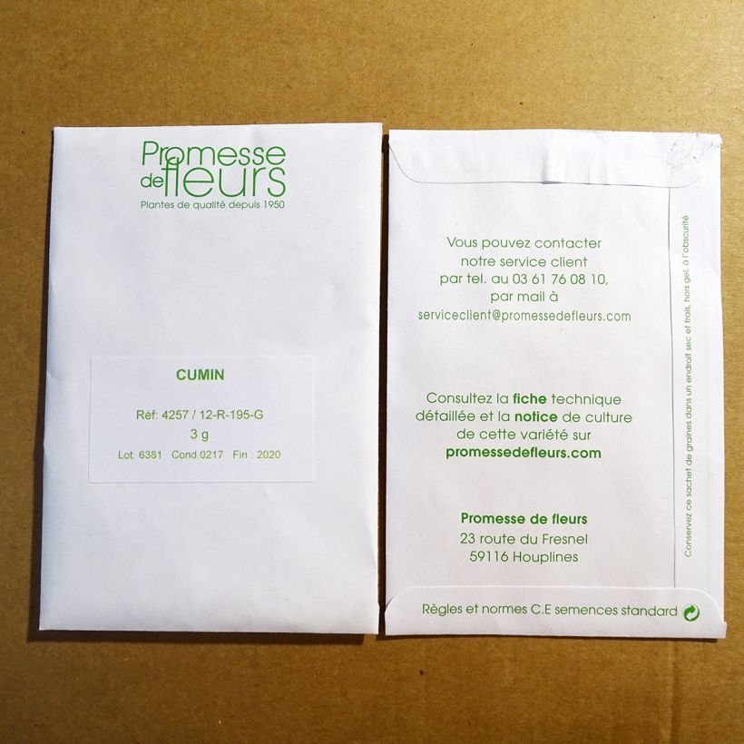 Exemple de spécimen de Cumin - Cuminum Cyminum le sachet de 750 graines (3g) tel que livré