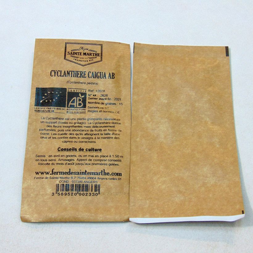 Exemple de spécimen de Cyclanthere Caigua Bio - Ferme de Sainte Marthe le sachet de 15 graines (1g) tel que livré
