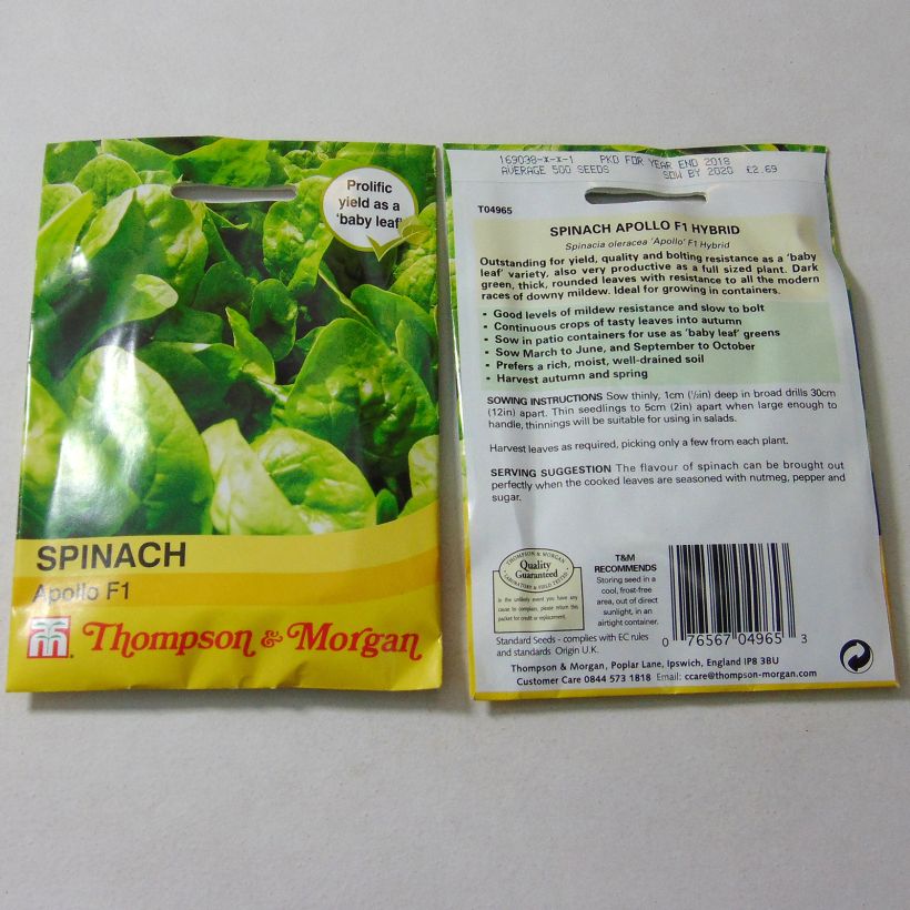 Exemple de spécimen de Epinard Apollo  le sachet de 500 graines tel que livré