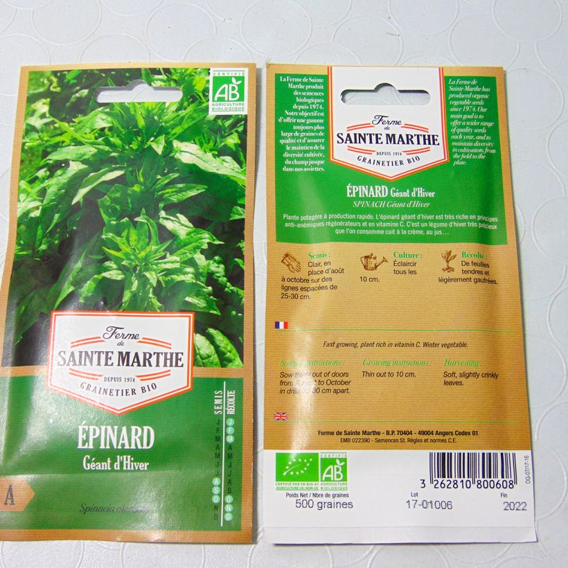 Exemple de spécimen de Epinard Géant d'Hiver Bio - Ferme de Sainte Marthe  le sachet de 450 graines (5.7g) tel que livré