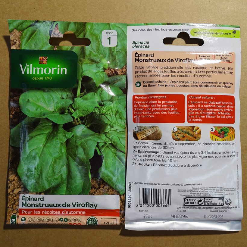 Exemple de spécimen de Epinard Monstrueux de Viroflay - Vilmorin le sachet de 1500 graines (15g) tel que livré