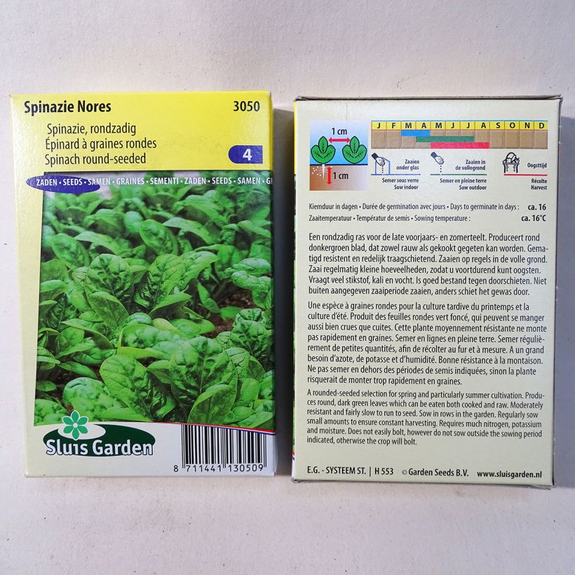 Exemple de spécimen de Epinard Nores - Spinachia oleracea le sachet de 900 graines (90g) tel que livré