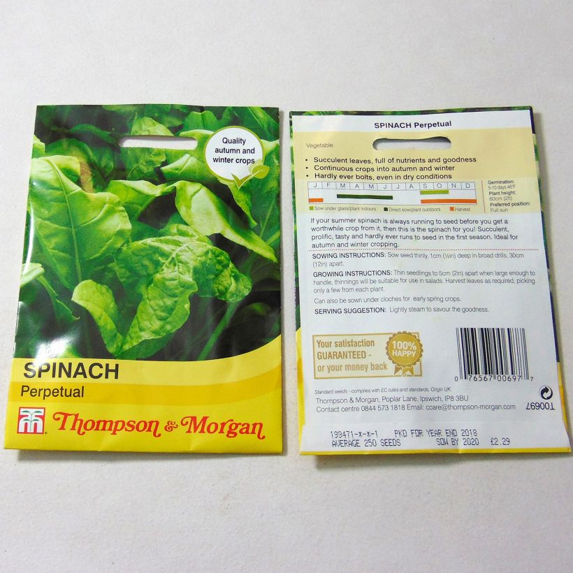 Exemple de spécimen de Epinard Perpetual le sachet de 250 graines tel que livré