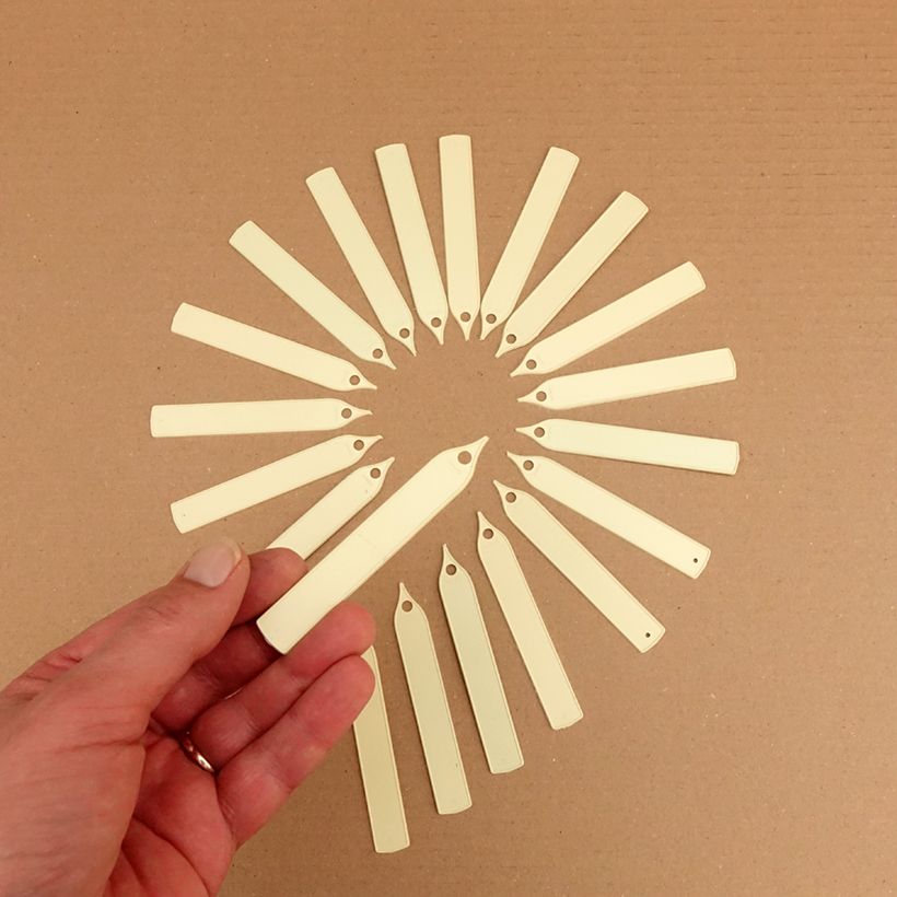 Exemple de spécimen de Etiquette étroite à planter ivoire Boîte Dimensions : 10 x 1,5 cm tel que livré