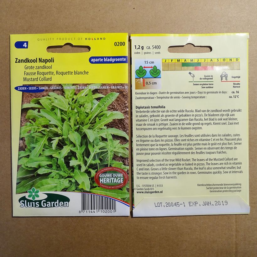 Exemple de spécimen de Fausse Roquette Blanche Napoli le sachet de 5400 graines (1g) tel que livré