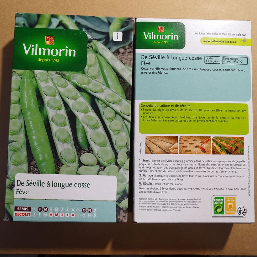 Exemple de spécimen de Fève de Séville à Longue cosse - Vilmorin le sachet de 125 graines (250g) tel que livré