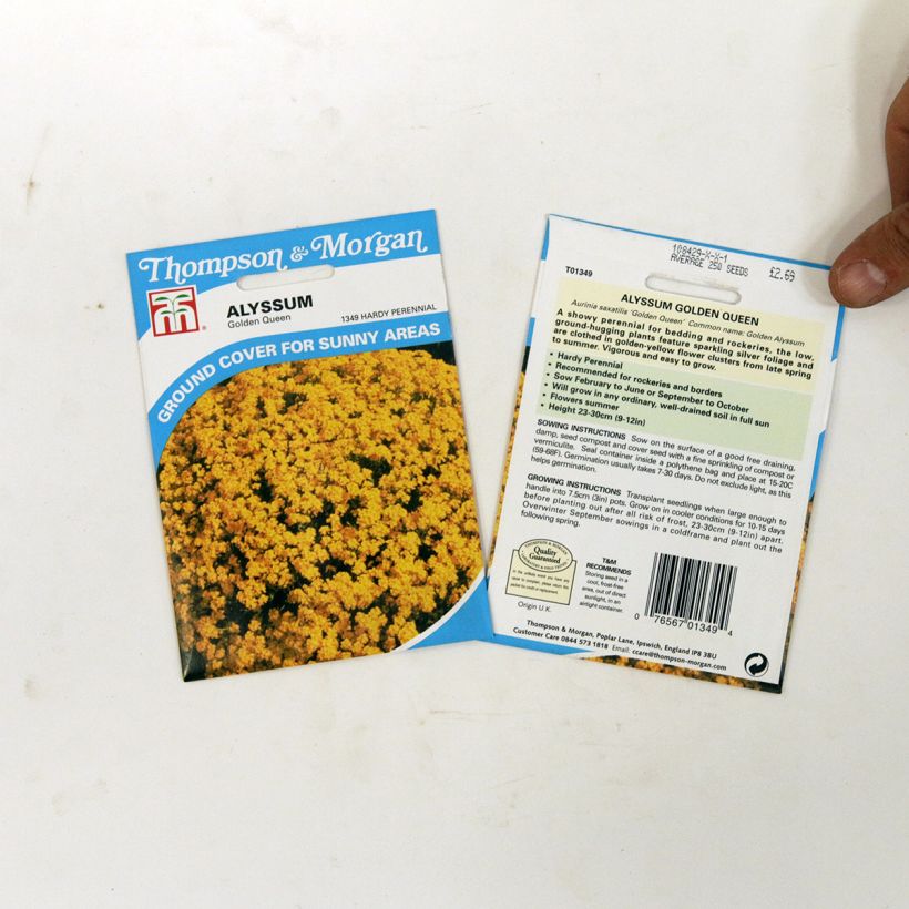 Exemple de spécimen de Graines d'Alysse saxatile Golden Queen - Corbeille d'Or le sachet de +/- 450 graines (minimum 0,5g) tel que livré
