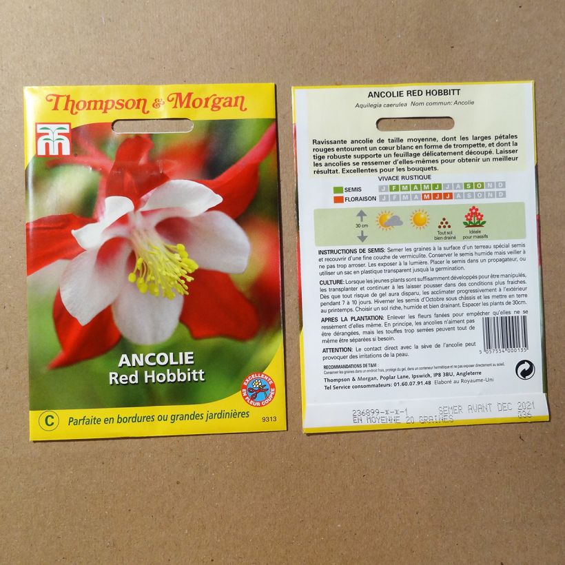 Exemple de spécimen de Graines d'Ancolie Red Hobbit - Aquilegia caerulea le sachet de 20 graines tel que livré