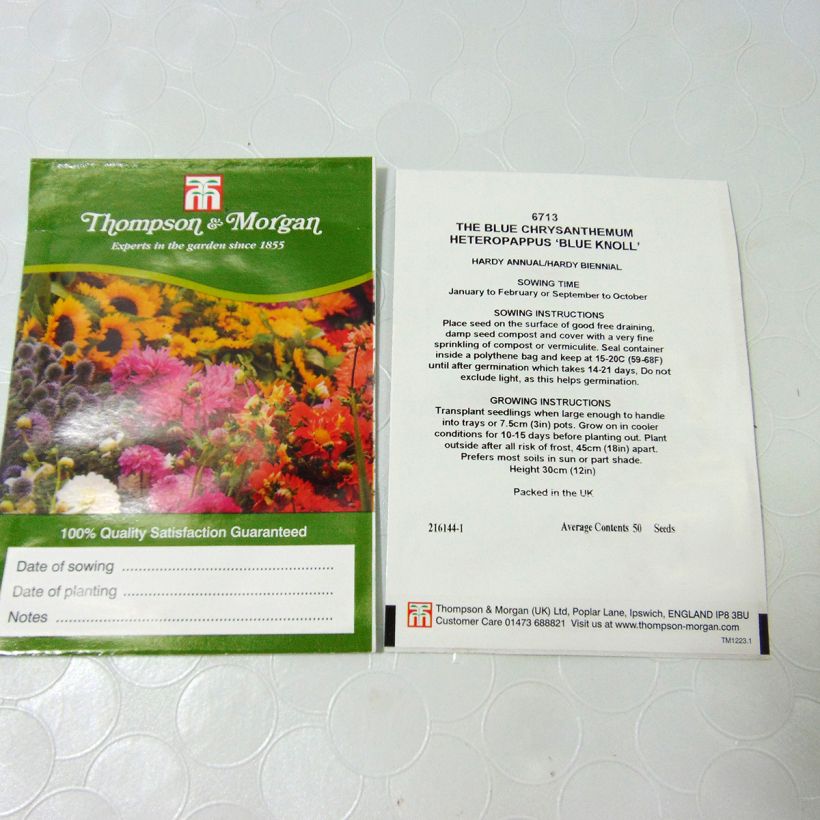 Exemple de spécimen de Graines d'Heteropappus meyendorffii Blue Knoll le sachet de 50 graines tel que livré