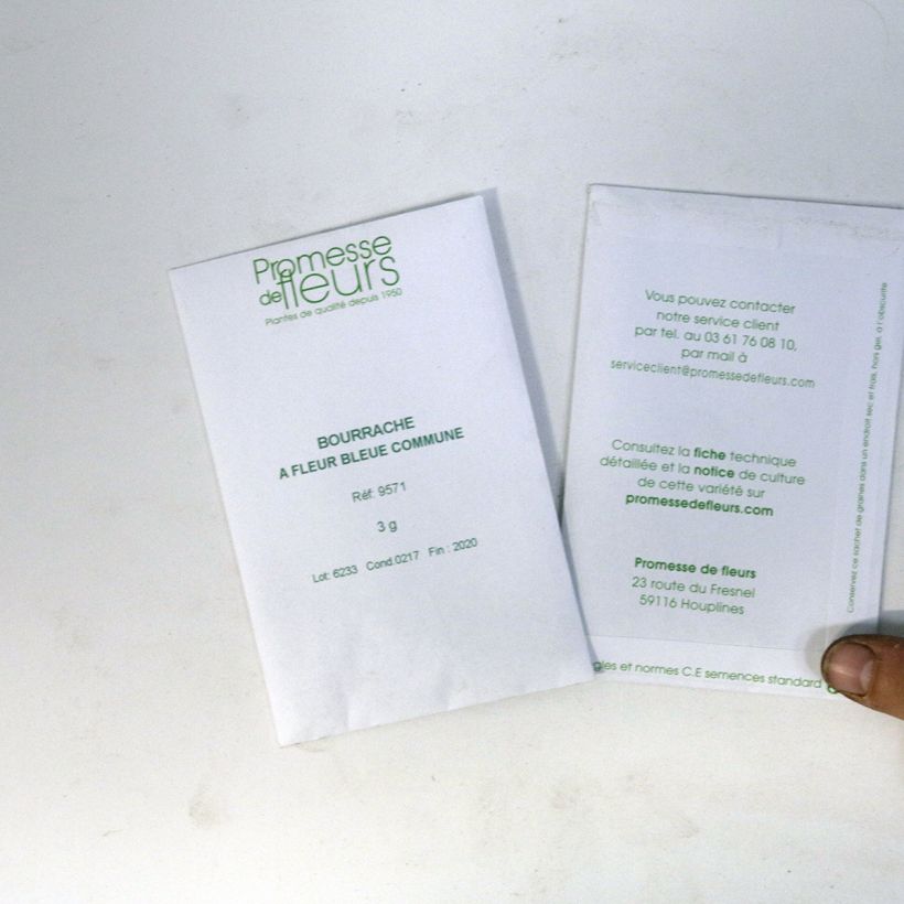 Exemple de spécimen de Graines de Bourrache officinale - Borago officinalis le sachet de +/- 130 graines (minimum 3g) tel que livré
