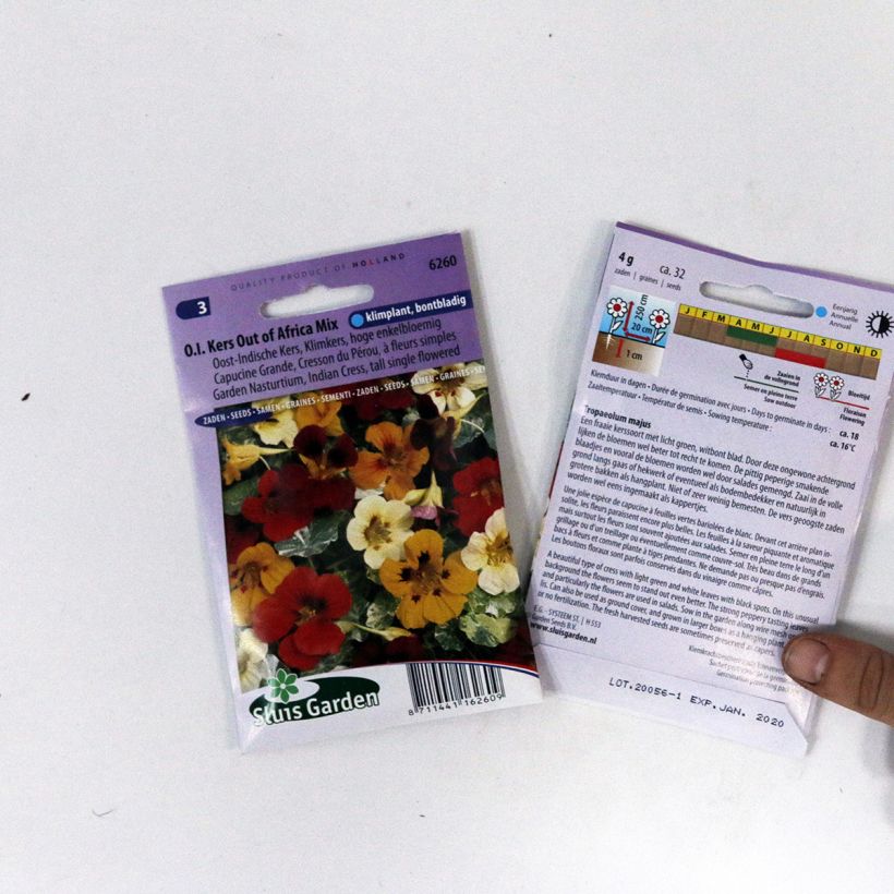 Exemple de spécimen de Graines de Capucine grimpante à fleurs simples Out Of Africa - Tropaeolum majus le sachet de 32 graines tel que livré