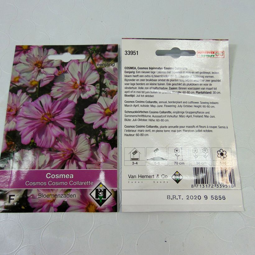 Exemple de spécimen de Graines de Cosmos Cosimo Collarette - Cosmos bipinnatus le sachet de 60 graines (0.5g) tel que livré