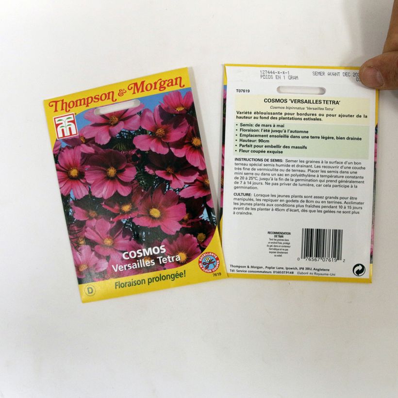 Exemple de spécimen de Graines de Cosmos Versailles Tetra - Cosmos bipinnatus le sachet de 60 graines tel que livré