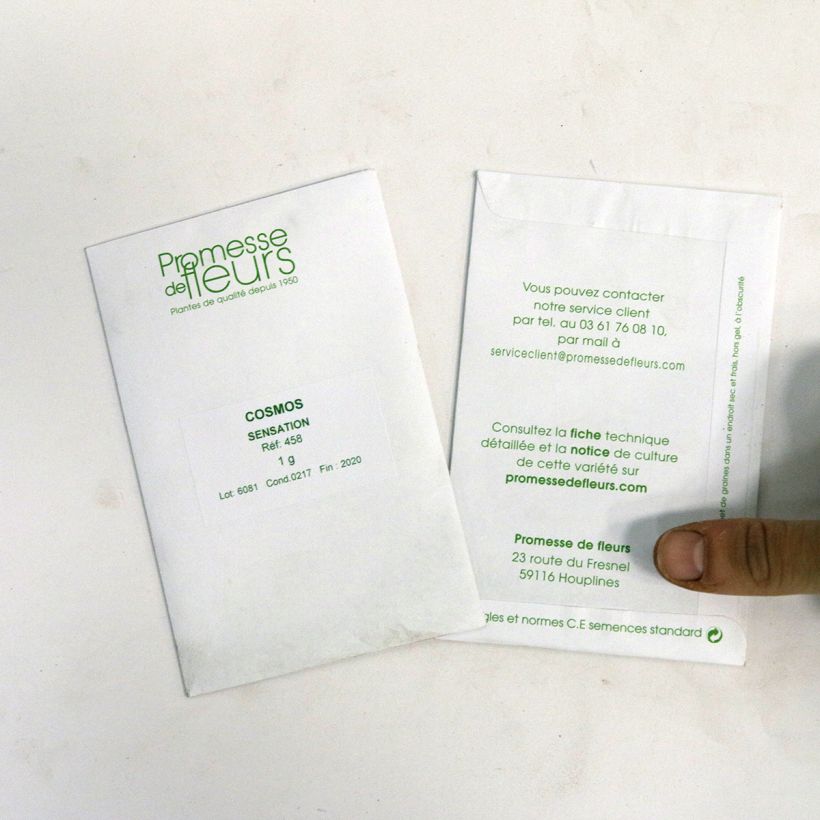 Exemple de spécimen de Graines de Cosmos Sensation en mélange - Cosmos bipinnatus le sachet de +/- 200 graines (minimum 1,5g) tel que livré