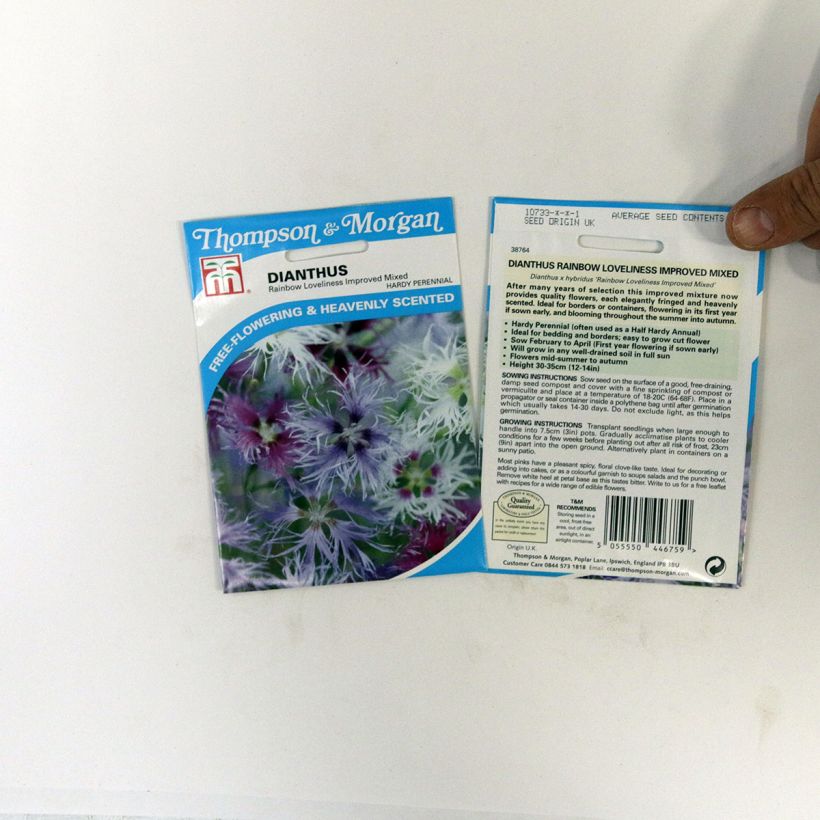Exemple de spécimen de Graines de d'Oeillet commun en mélange Rainbow Loveliness Improved Mixed  le sachet de 30 graines tel que livré