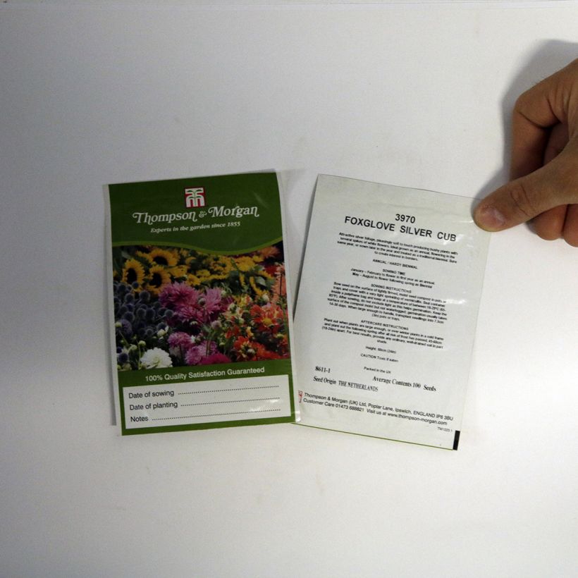 Exemple de spécimen de Graines de Digitale Silver Club le sachet de 100 graines tel que livré
