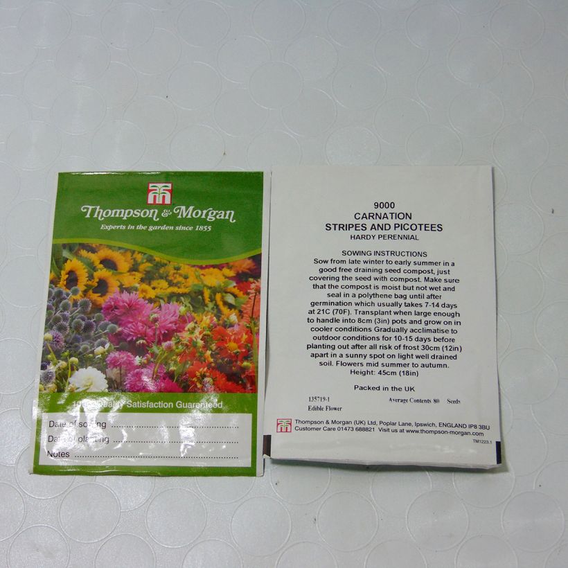 Exemple de spécimen de Graines de d'Oeillet commun en mélange Stripes & Picotees le sachet de 80 graines tel que livré