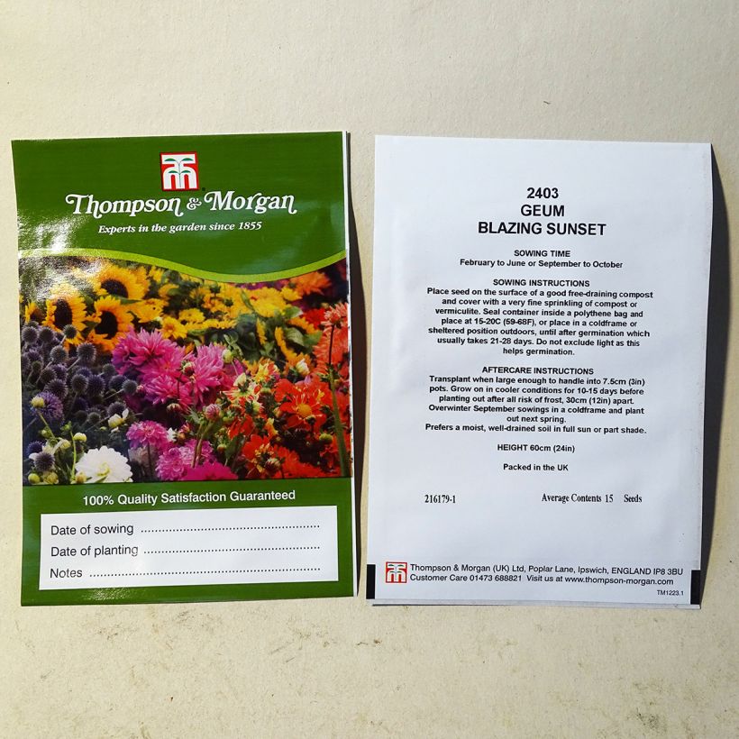 Exemple de spécimen de Graines de Geum Flore Pleno Blazing Sunset - Benoîte le sachet de 15 graines tel que livré
