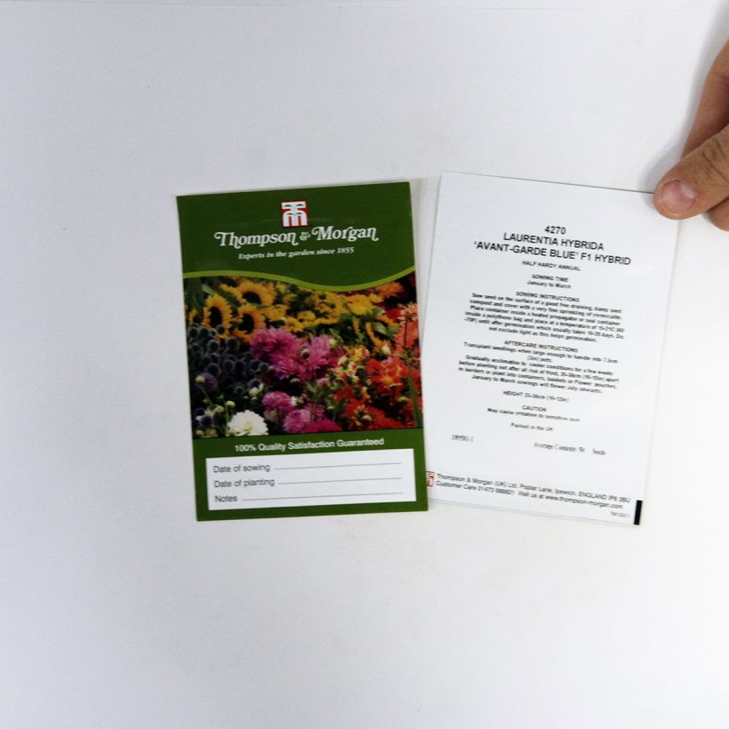 Exemple de spécimen de Graines de Laurentia Avant-Garde Blue F1 le sachet de 50 graines tel que livré