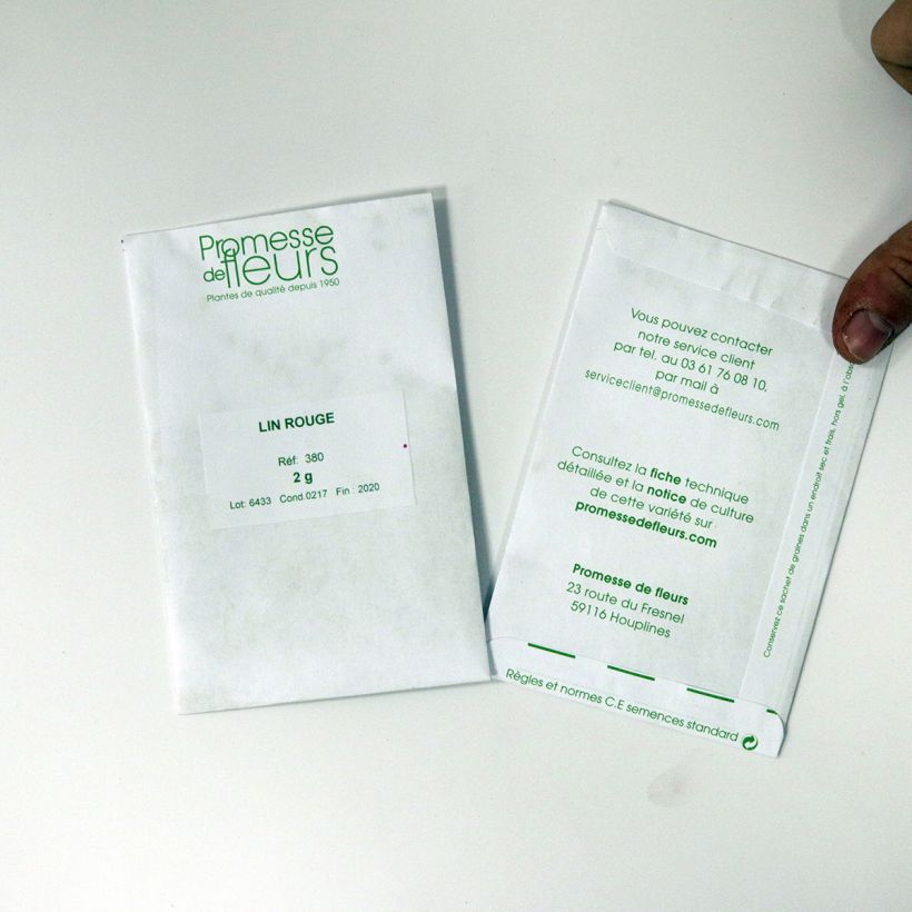 Exemple de spécimen de Graines de Lin rouge - Linum grandiflorum Rubrum le sachet de +/- 600 graines (minimum 2g) tel que livré