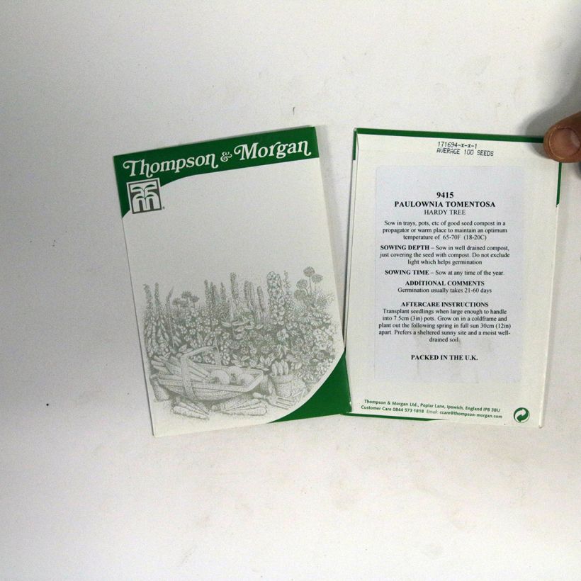 Exemple de spécimen de Graines de Paulownia tomentosa - Arbre impérial le sachet de 100 graines tel que livré