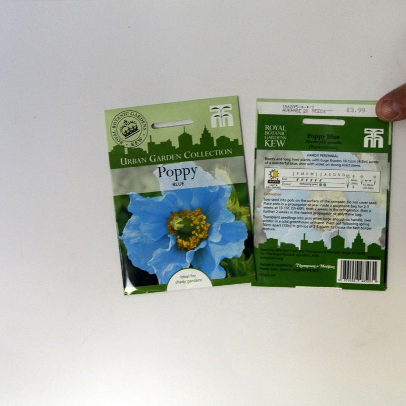 Exemple de spécimen de Graines de Pensée Chalon Supreme Wildberry Mixed - Viola x wittrockiana le sachet de 20 graines tel que livré
