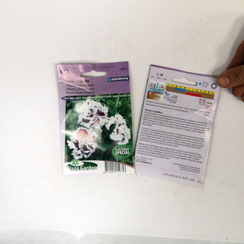 Exemple de spécimen de Graines de Pétunia Purple Pirouette F1 à fleurs doubles le sachet de 30 graines tel que livré