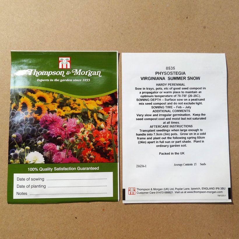 Exemple de spécimen de Graines de Physostegia Virginiana Summer Snow - Cataleptique blanche le sachet de 50 graines (0,1g) tel que livré