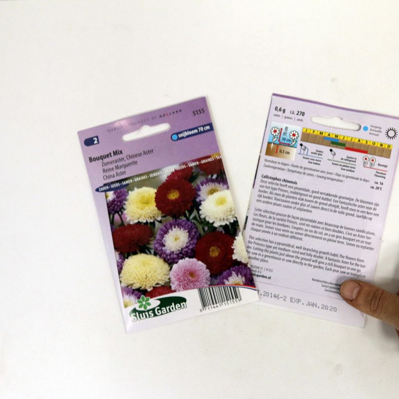Exemple de spécimen de Graines de Reine-marguerite Bouquet en mélange le sachet de +/- 300 graines (minimum 0,8g) tel que livré