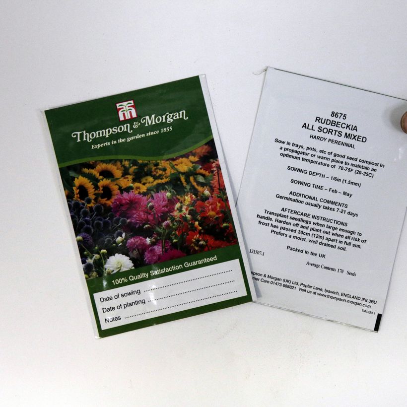 Exemple de spécimen de Graines de Rudbeckias en mélange - Rudbeckia hirta All Sort Mixed le sachet de 170 graines tel que livré