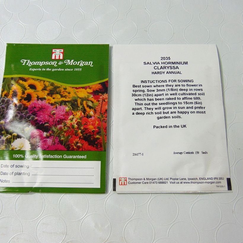 Exemple de spécimen de Graines de Salvia horminum Claryssa Mixed - Sauge verte en mélange le sachet de 150 graines tel que livré