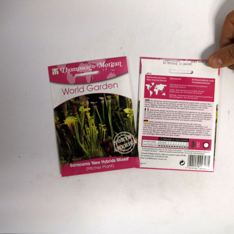 Exemple de spécimen de Graines de Sarracenia New Hybrids en mélange - Attrape-Mouches de Vénus  le sachet de 15 graines tel que livré