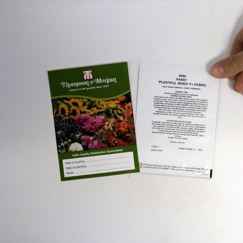 Exemple de spécimen de Graines de Pensée Plentifall Mixed F1 - Viola x wittrockiana le sachet de 12 graines tel que livré