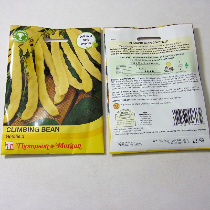 Exemple de spécimen de Haricot à rames mangetout beurre Goldfield (gousses plates) le sachet de 40 graines tel que livré
