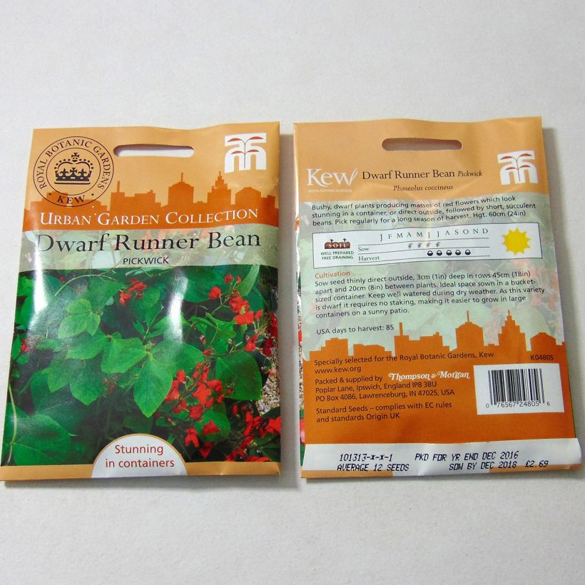 Exemple de spécimen de Haricot d'Espagne nain Pickwick - Haricot-fleur le sachet de 12 graines tel que livré