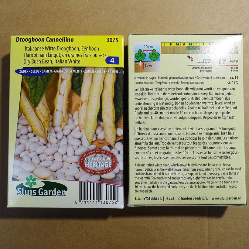 Exemple de spécimen de Haricot nain à écosser Cannellino (type Lingot) le sachet de 200 graines (100g) tel que livré